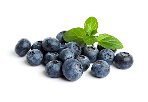 BLUEBERRIES (1/2 PINT)