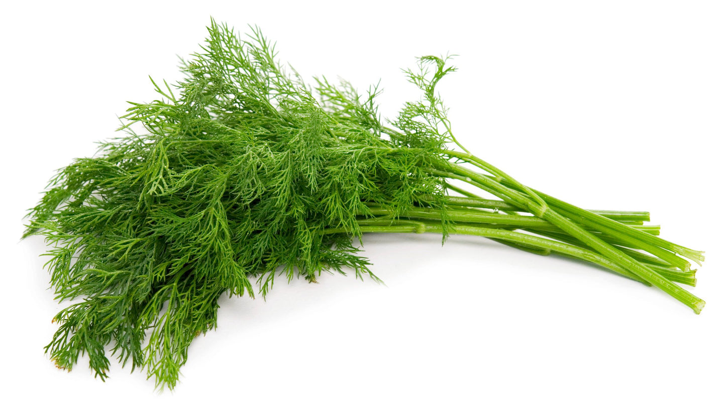DILL
