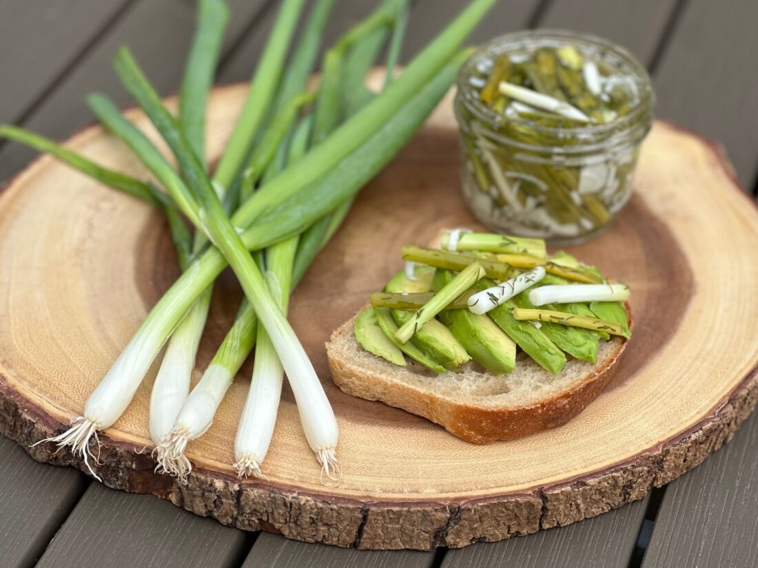 PICKLED SCALLIONS - 16OZ