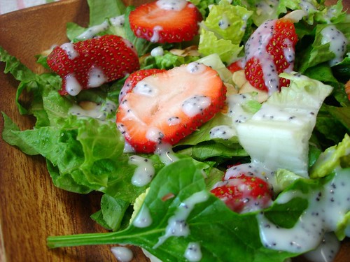POPPY SEED SALAD - 9X9