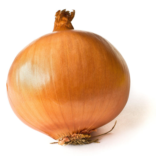 YELLOW ONIONS