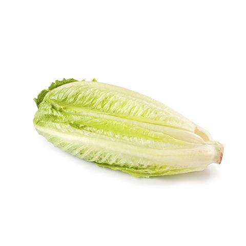 LETTUCE ROMAINE HEARTS PREMIUM