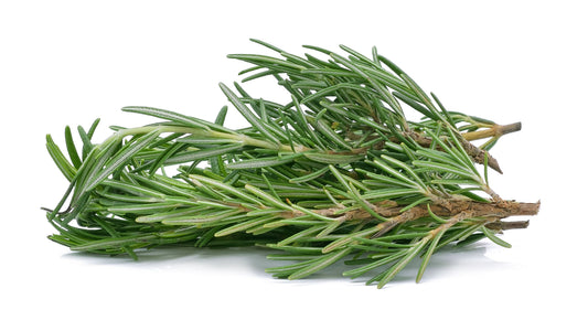 ROSEMARY